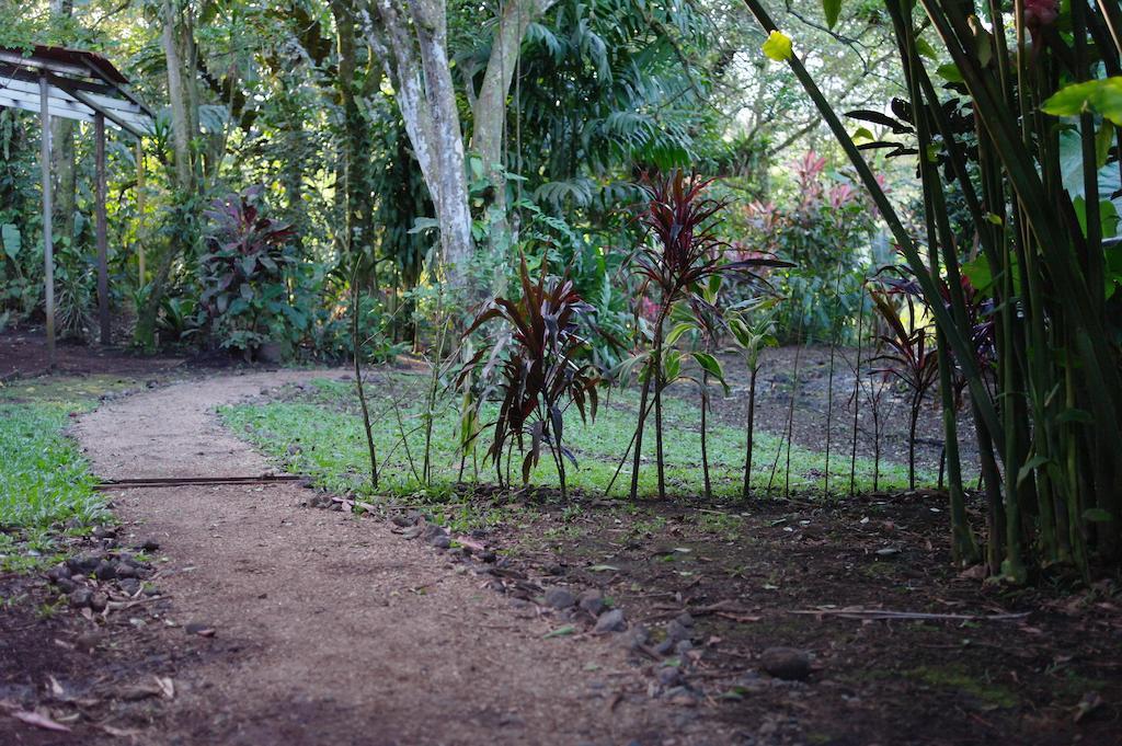 Finca Verde Lodge Bijagua Bagian luar foto