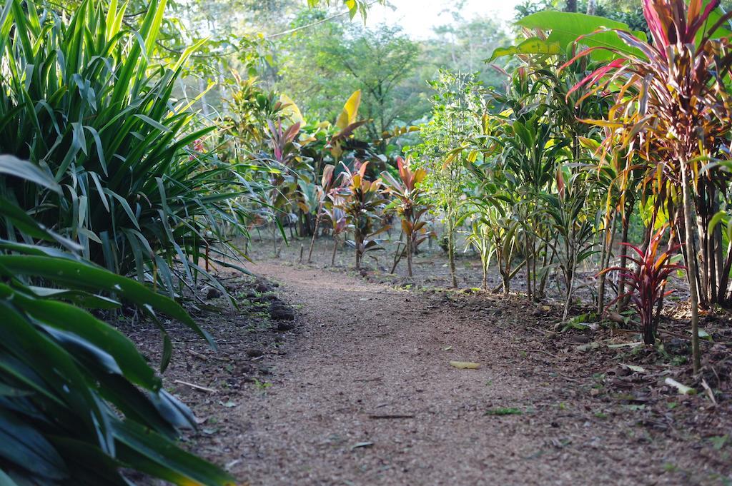 Finca Verde Lodge Bijagua Bagian luar foto