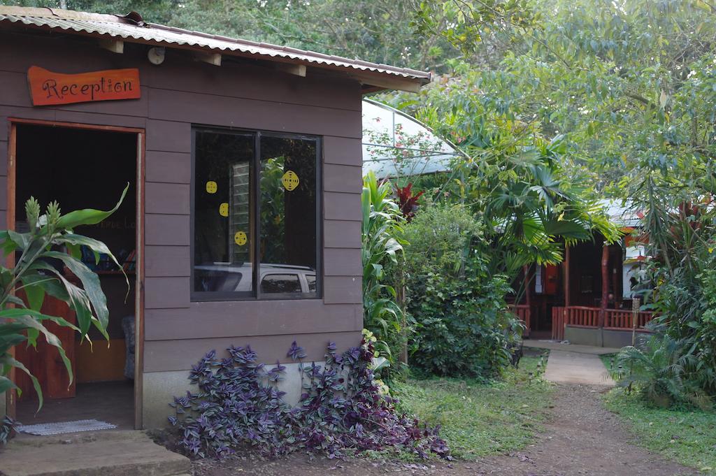 Finca Verde Lodge Bijagua Bagian luar foto