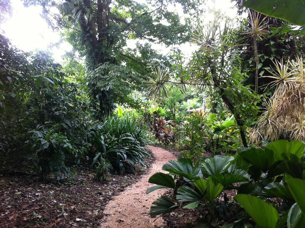 Finca Verde Lodge Bijagua Bagian luar foto