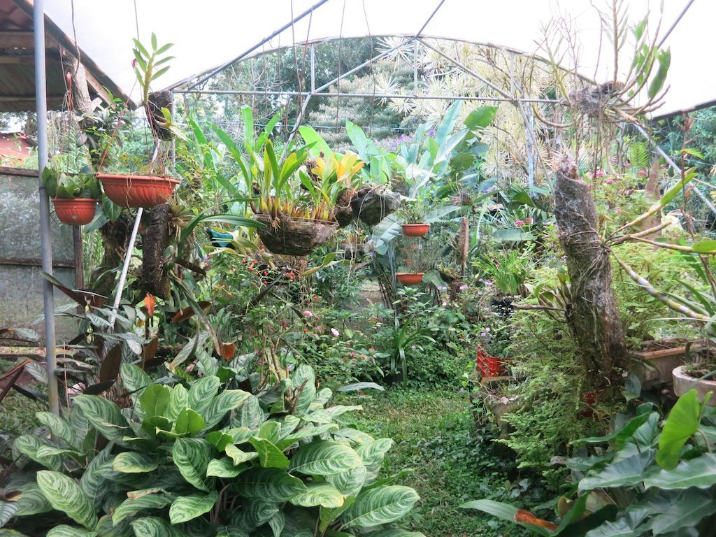 Finca Verde Lodge Bijagua Bagian luar foto