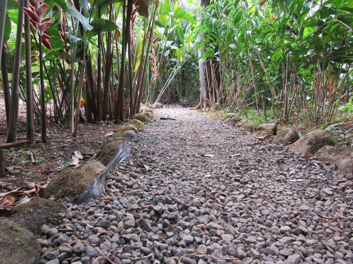 Finca Verde Lodge Bijagua Bagian luar foto