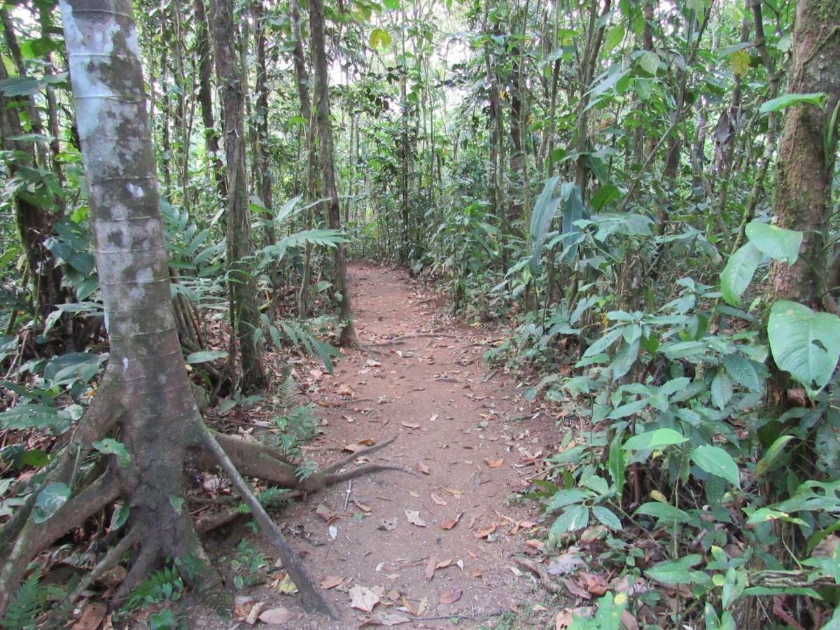Finca Verde Lodge Bijagua Bagian luar foto