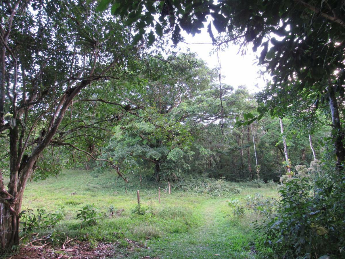 Finca Verde Lodge Bijagua Bagian luar foto