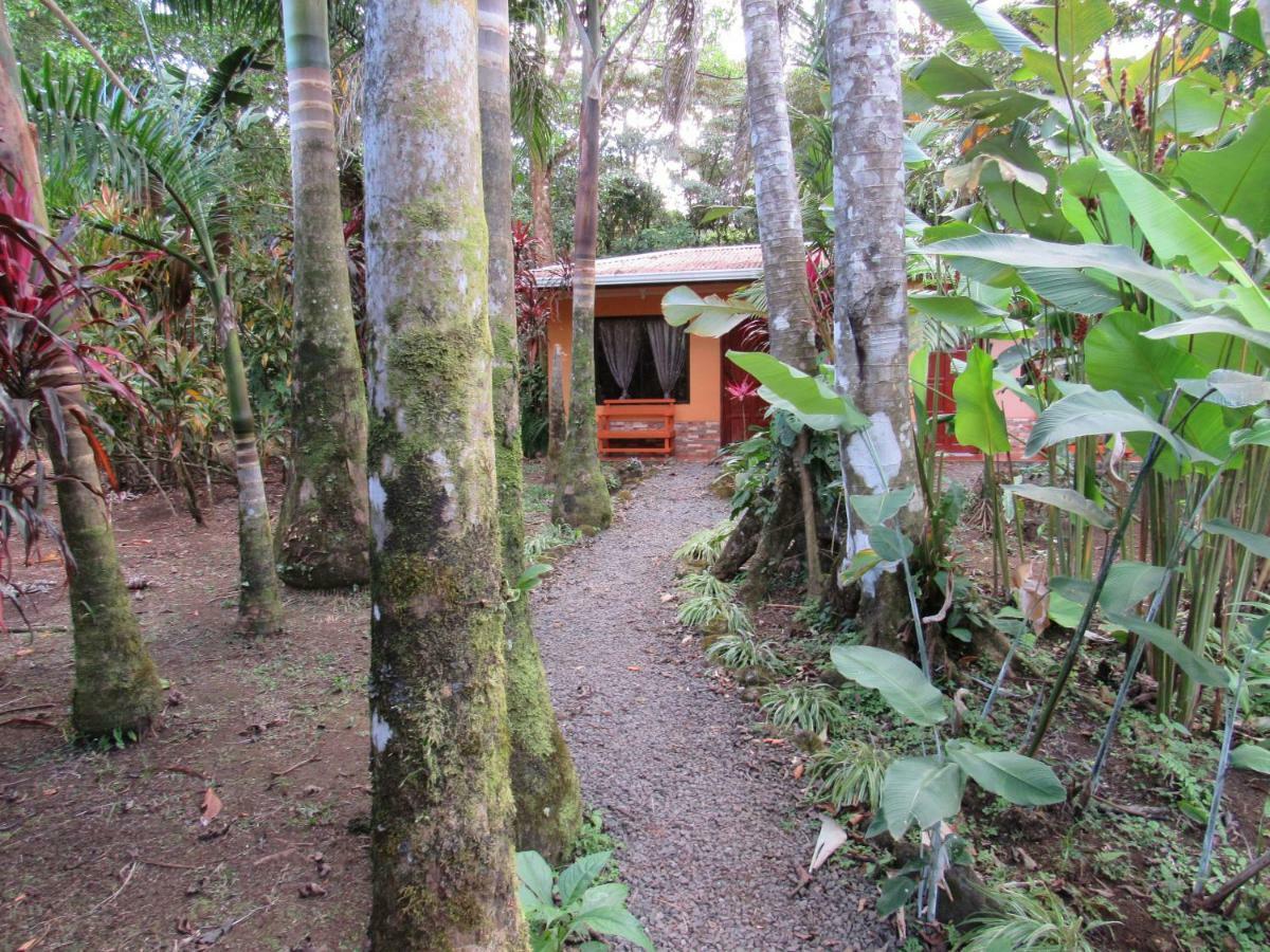 Finca Verde Lodge Bijagua Bagian luar foto