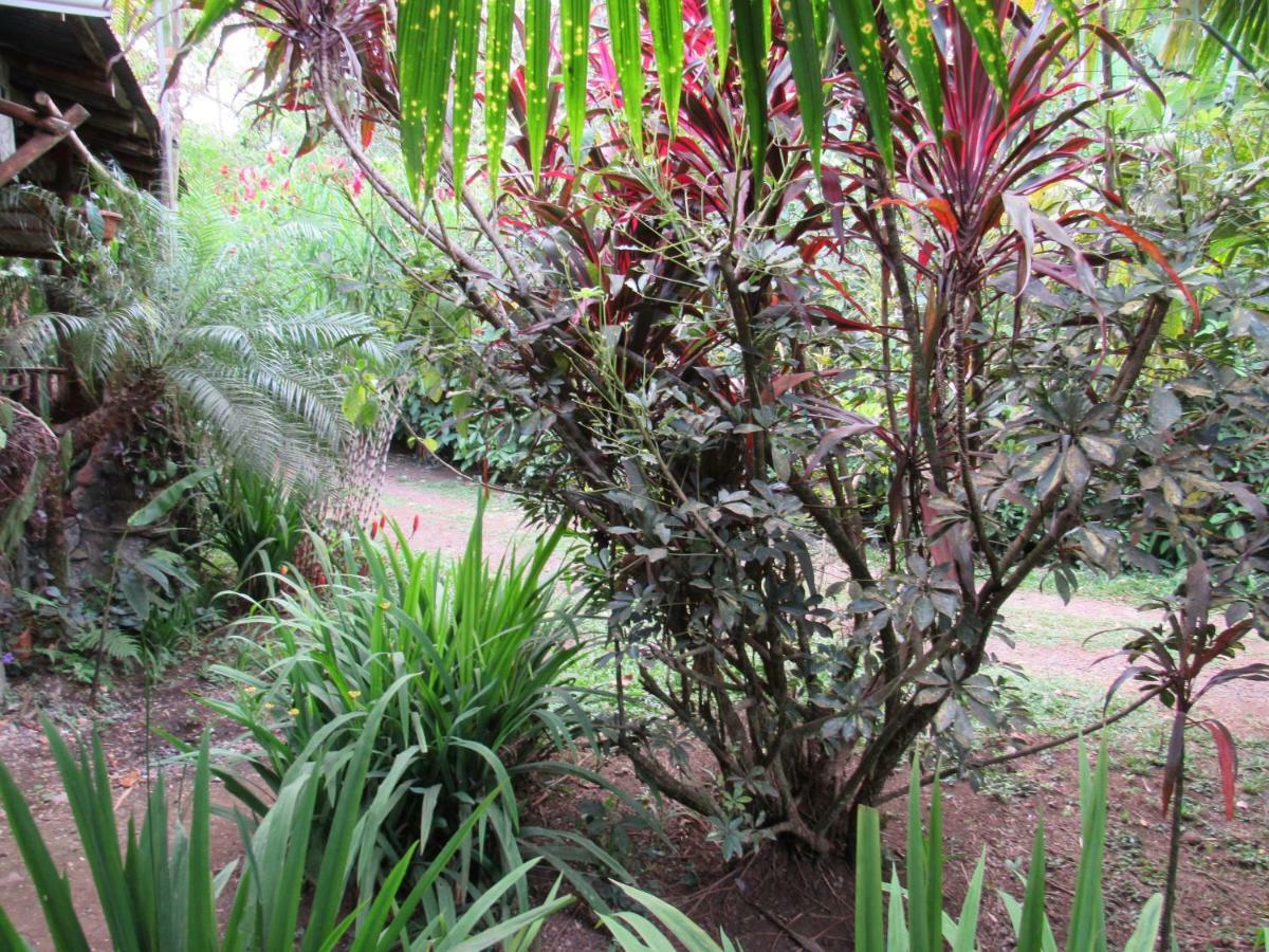 Finca Verde Lodge Bijagua Bagian luar foto